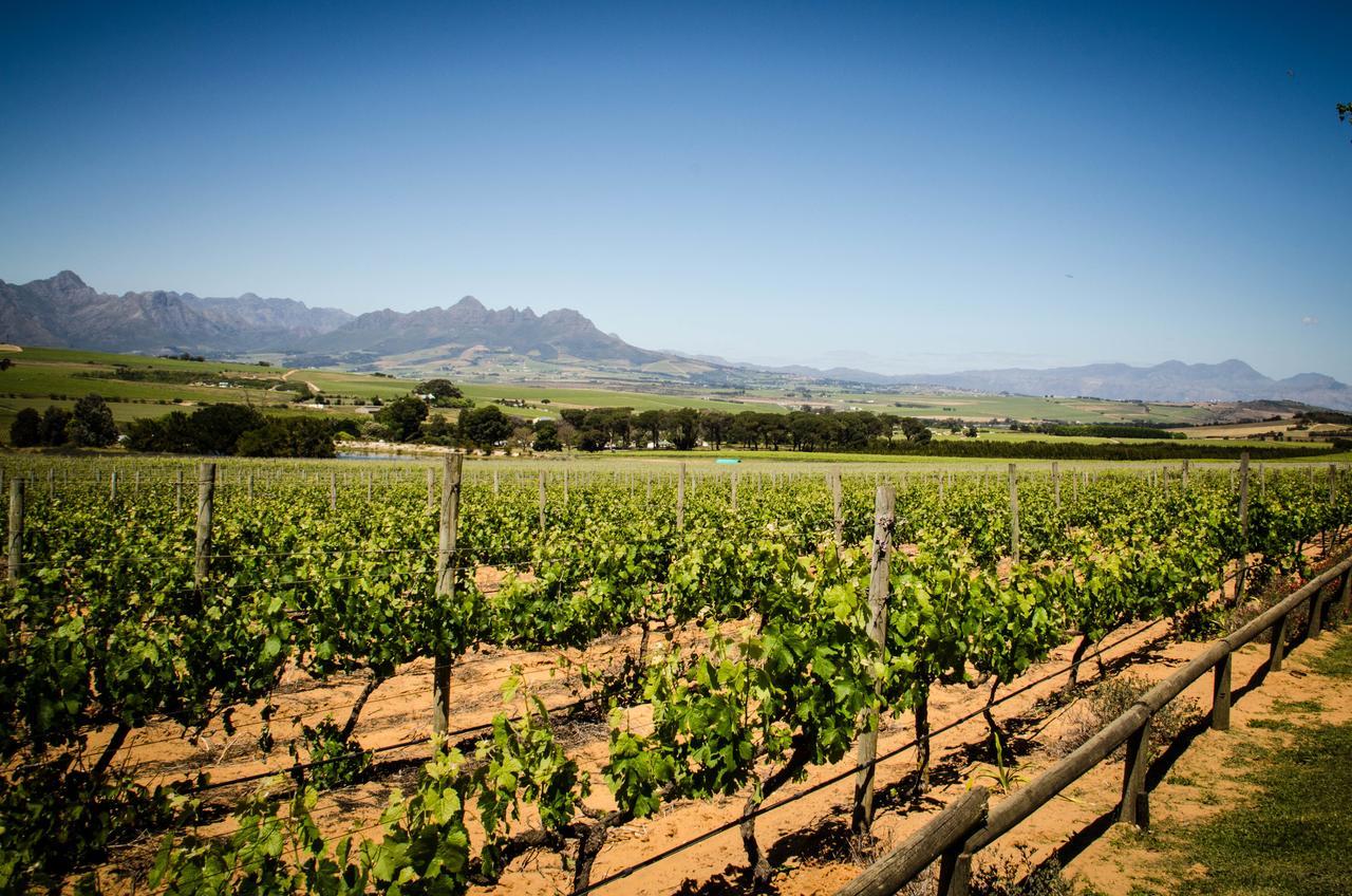 Willa Lavinia Lifestyle Stellenbosch Zewnętrze zdjęcie