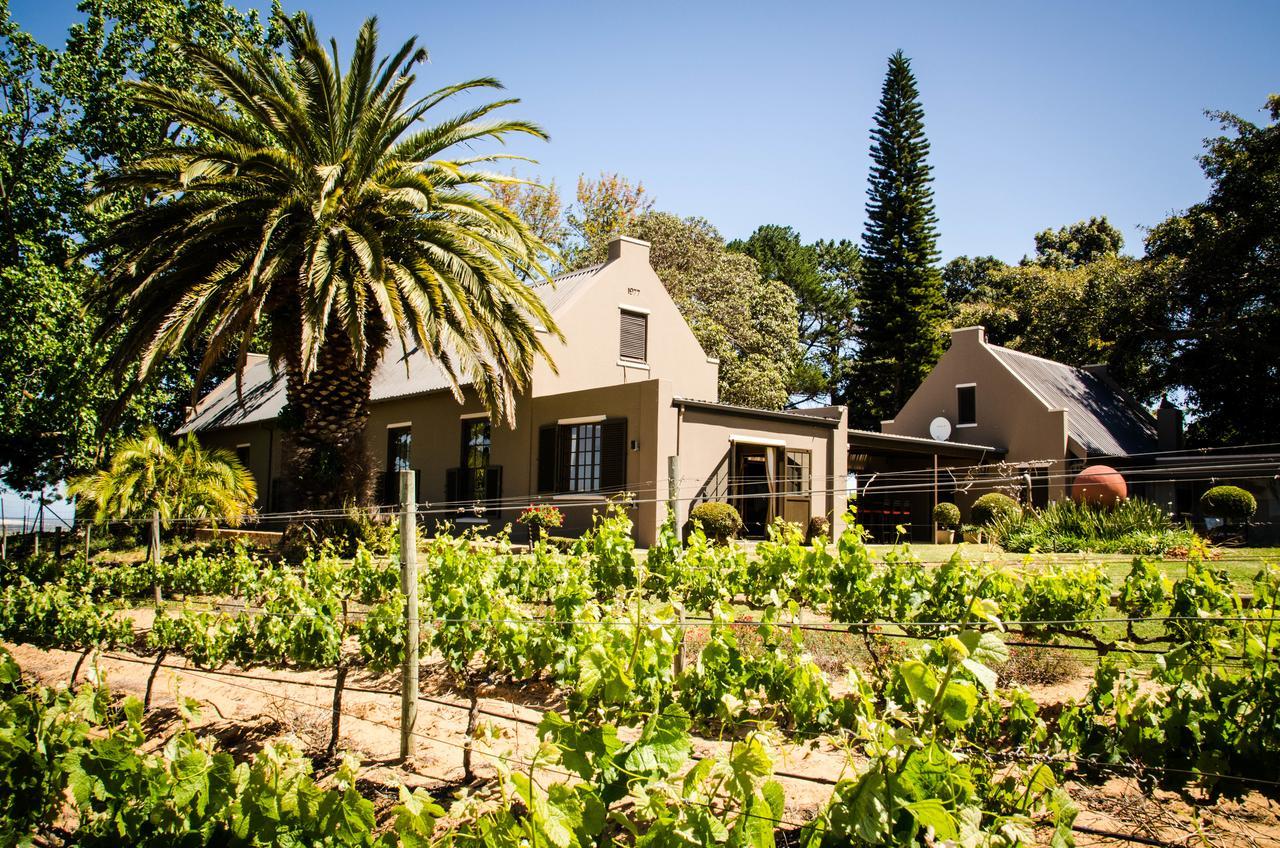 Willa Lavinia Lifestyle Stellenbosch Zewnętrze zdjęcie