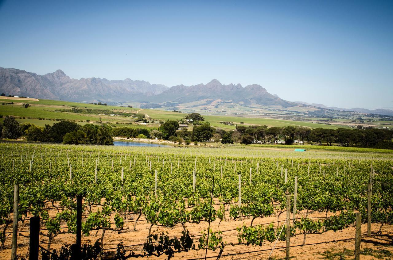 Willa Lavinia Lifestyle Stellenbosch Zewnętrze zdjęcie